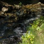 Объект находится в горах, Гостиница Борус