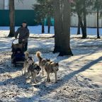 С домашними животными, Отель Порт-Внуково