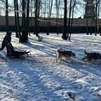 К нам можно с питомцами