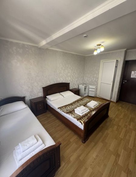 Фотография номера гостиницы Три Пальмы