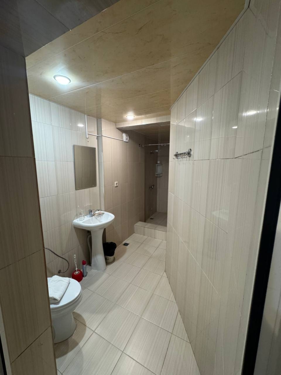 Семиместный (Стандартный номер), Гостиница Три пальмы