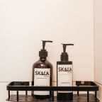Двухместный (Номер (большая кровать+ диван)), База отдыха Skala
