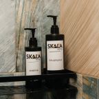 Двухместный ((2+2) с кухонной зоной), База отдыха Skala