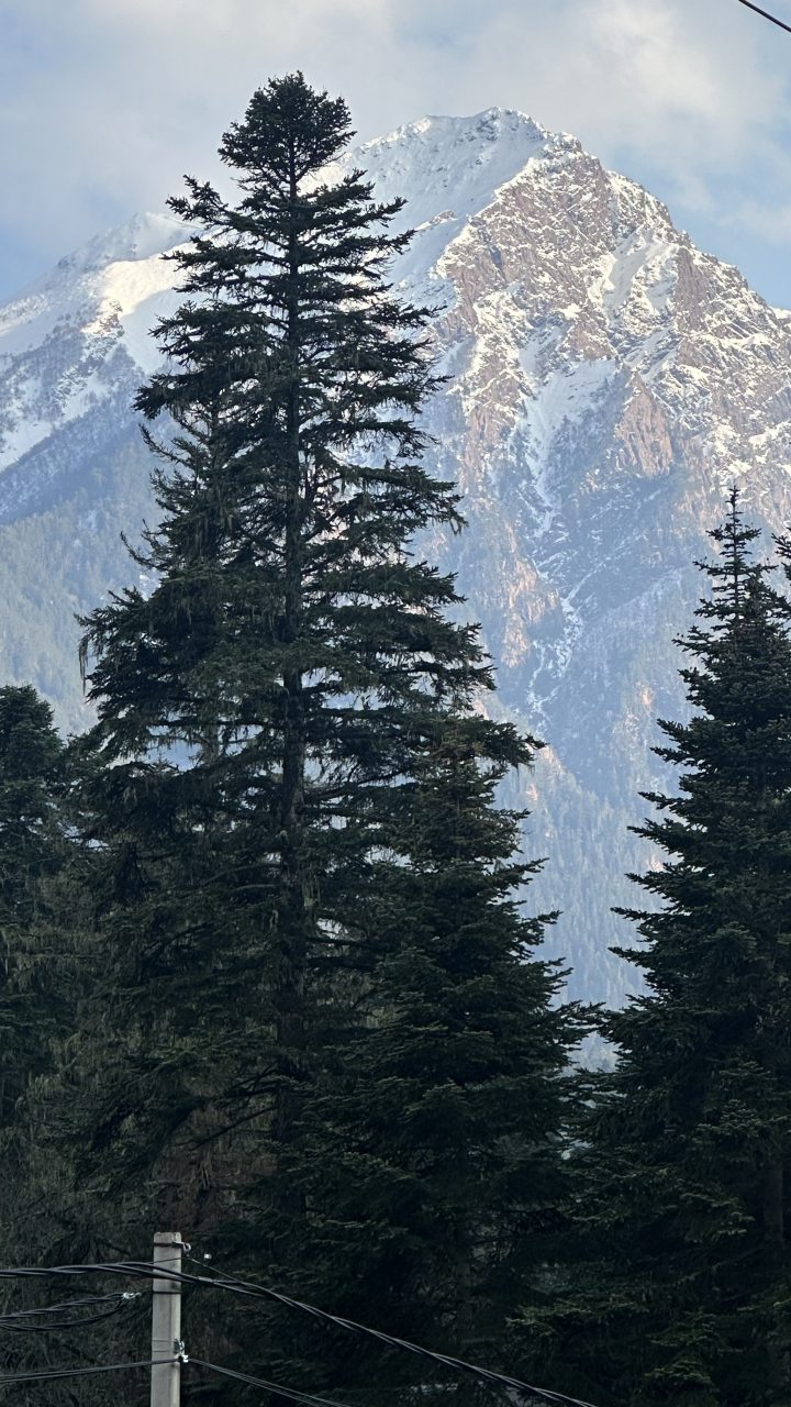 Апартаменты (Четырехместный номер с кухней и двуспальной кроватью на общей террасе дома), База отдыха Сабр