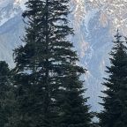 Апартаменты (Четырехместный номер с кухней и двуспальной кроватью на общей террасе дома), База отдыха Сабр