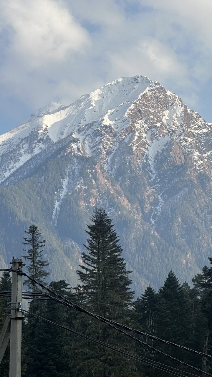 Апартаменты (Четырехместный номер с кухней и двуспальной кроватью на общей террасе дома), База отдыха Сабр