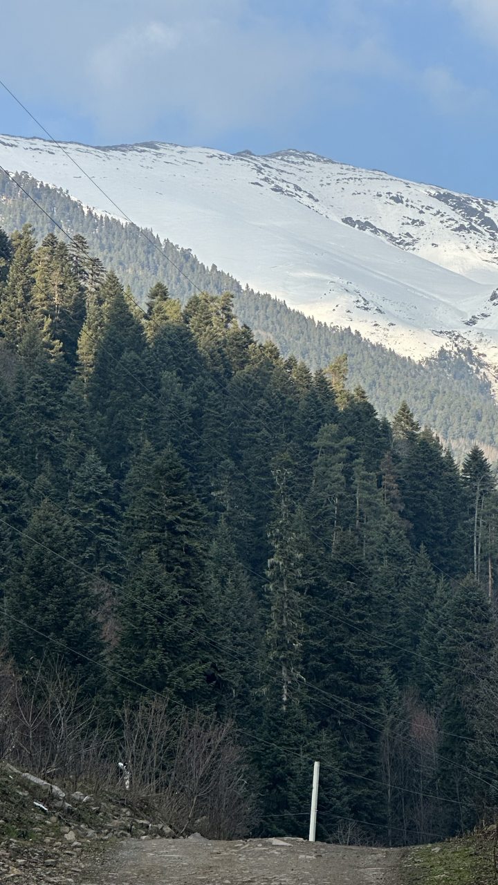 Апартаменты (Четырехместный номер с кухней и двуспальной кроватью на общей террасе дома), База отдыха Сабр