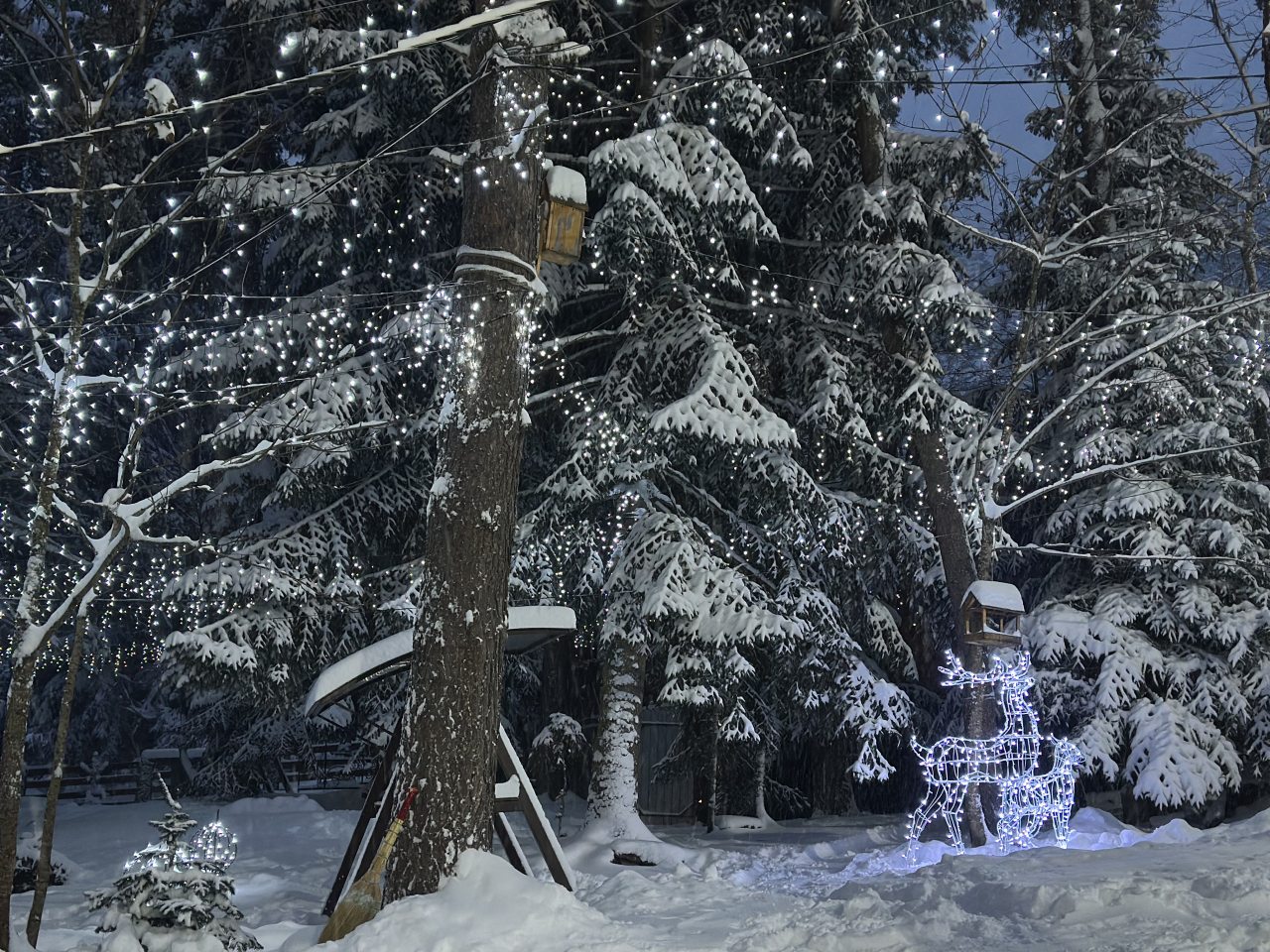 Апартаменты (Четырехместный номер с кухней и двуспальной кроватью на общей террасе дома), База отдыха Сабр