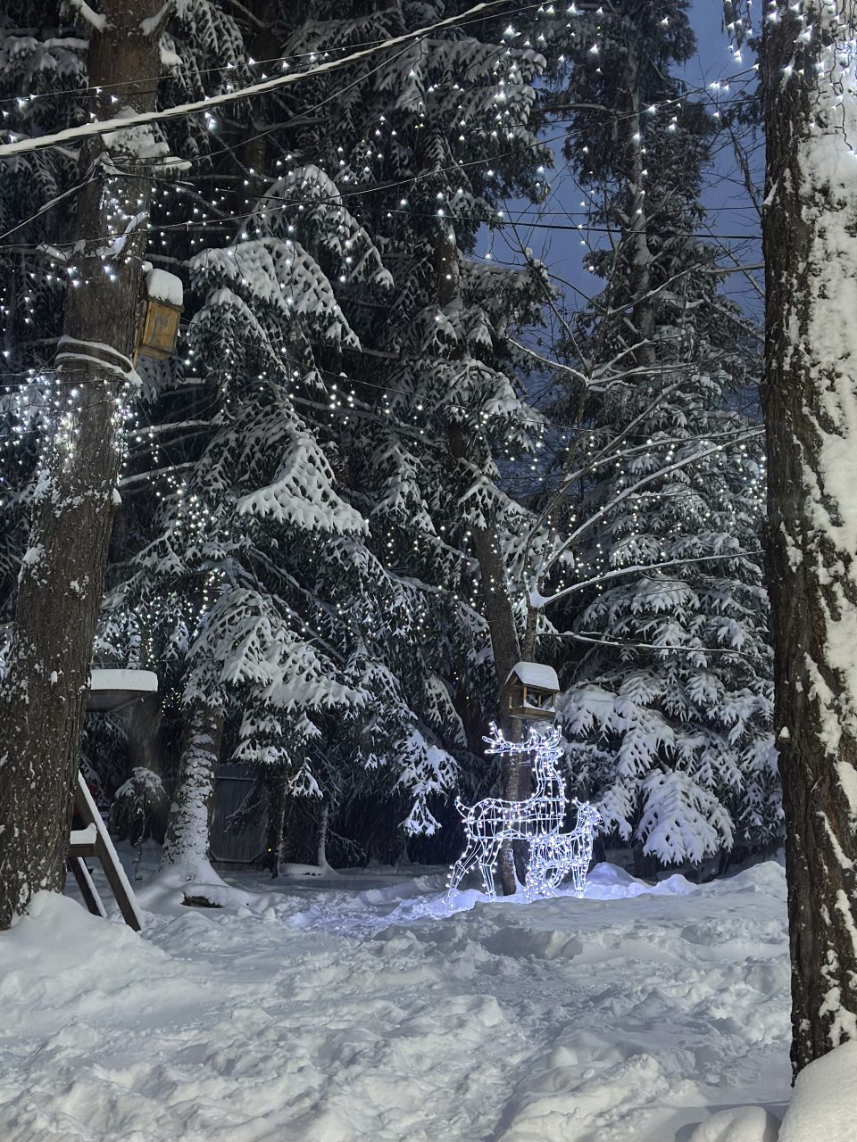 Апартаменты (Четырехместный номер с кухней на общей террасе дома), База отдыха Сабр