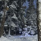 Апартаменты (Четырехместный номер с кухней на общей террасе дома), База отдыха Сабр