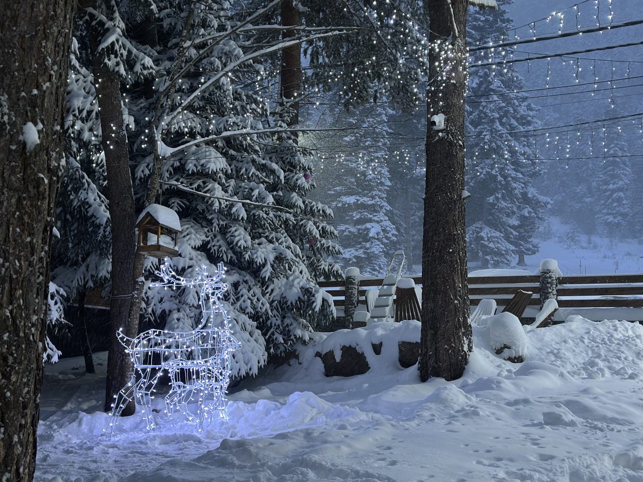 Шале (Семейный), База отдыха Сабр