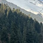 Шале (Семейный), База отдыха Сабр