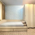 Апартаменты (Двухкомнатные), Двухкомнатные апартаменты в центре на Дзержинского