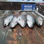 Аренда удочек, спиннингов, База отдыха МестоКлёва