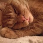 Трехместный (Для друзей или семьи), Гостевой дом На Весенней 32в