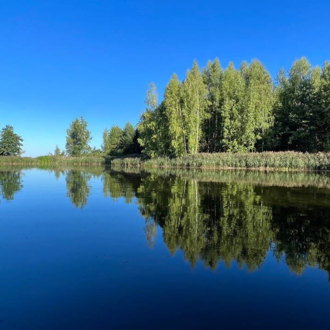 Берег грифона кемпинг горьковское