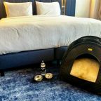 Размещение с питомцем