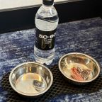 Размещение с питомцем