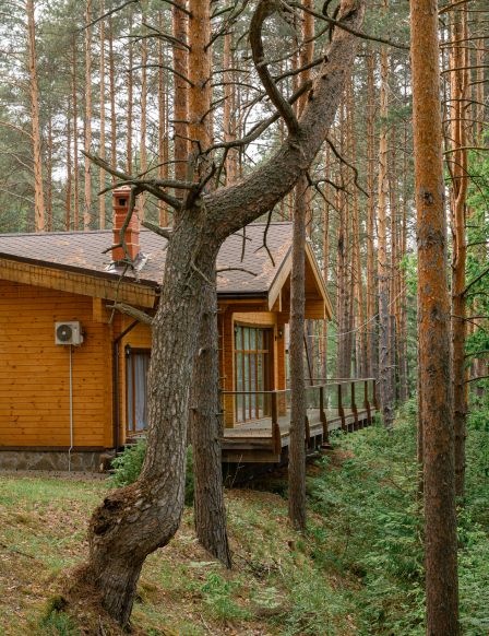 Фотография номера Коттеджа Березкина Заимка