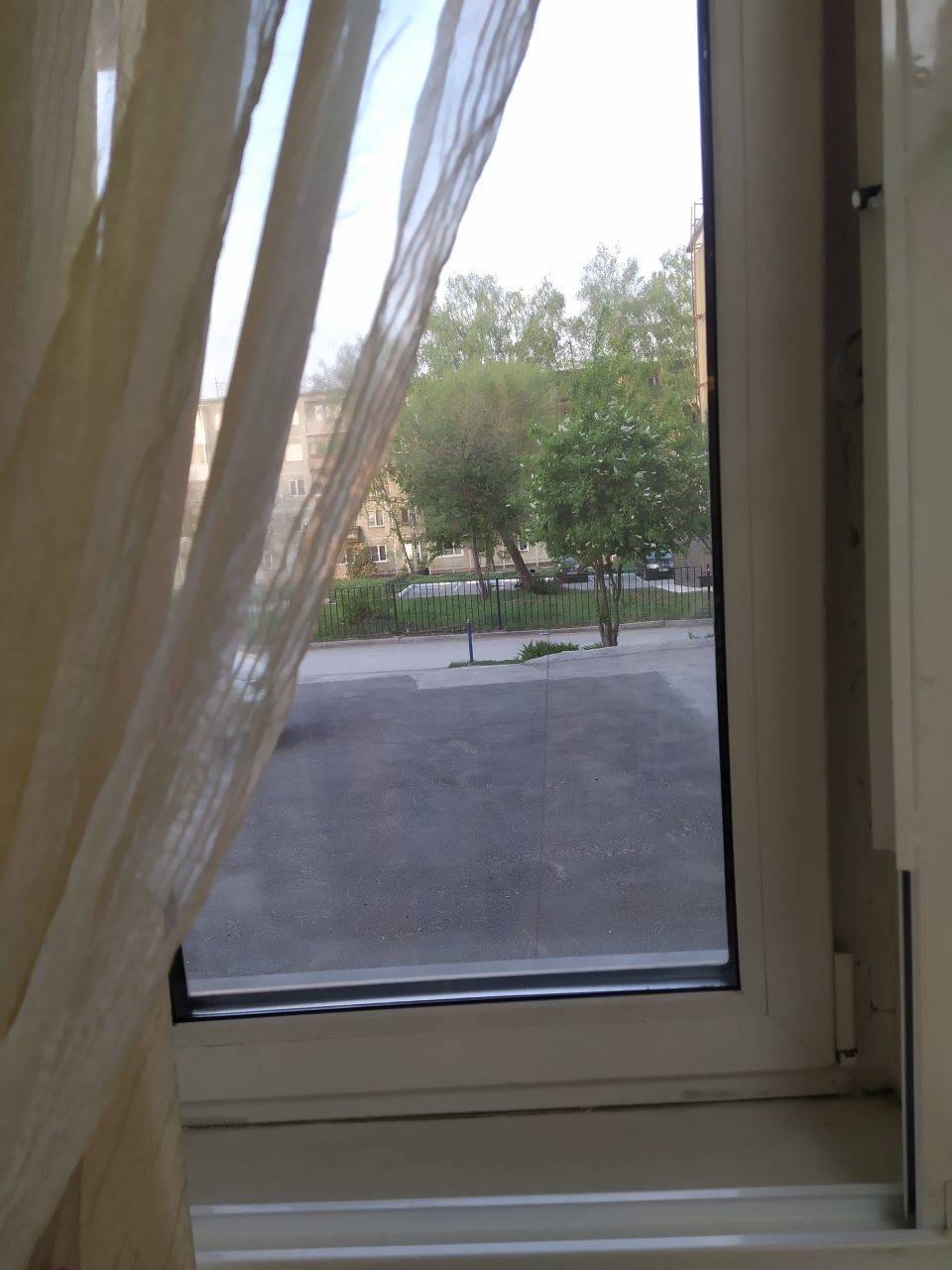 Вид из окна