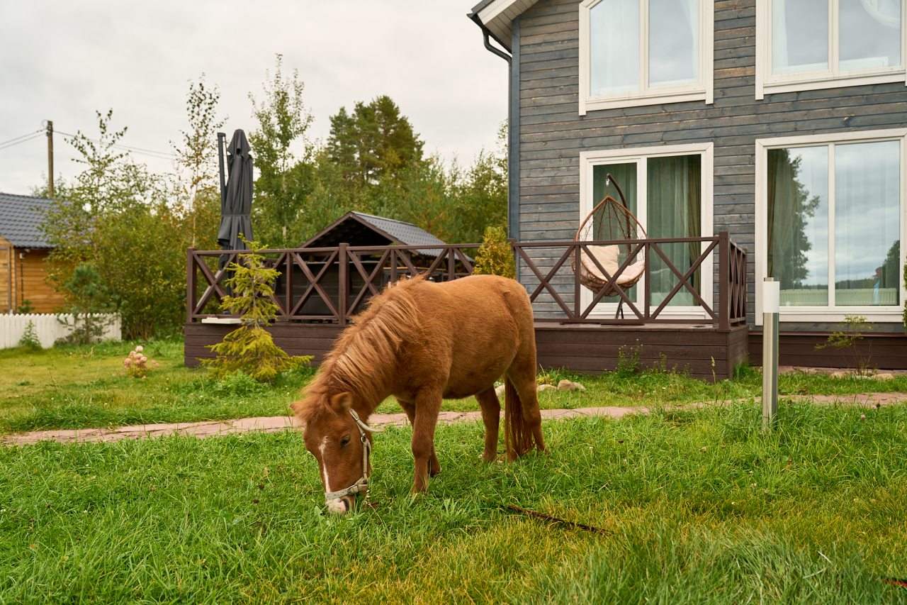 Проживание с животными (депозит - 3 000 руб), База отдыха Дом Ялкала