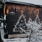 Двухместный (Дом на двоих «Мэрлин»), Гостевой двор Лопановичъ Park