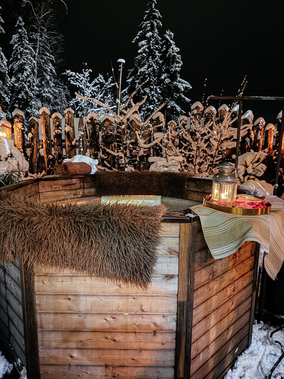 Двухместный (Дом на двоих «Мэрлин»), Гостевой двор Лопановичъ Park