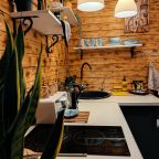 Двухместный (Дом на двоих «Мэрлин»), Гостевой двор Лопановичъ Park