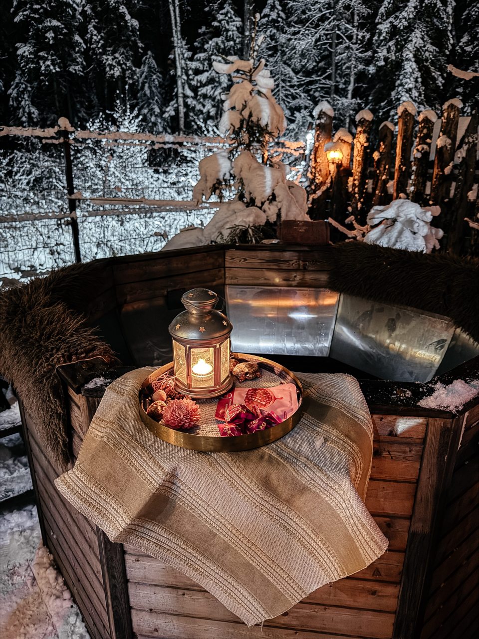 Двухместный (Дом на двоих «Мэрлин»), Гостевой двор Лопановичъ Park