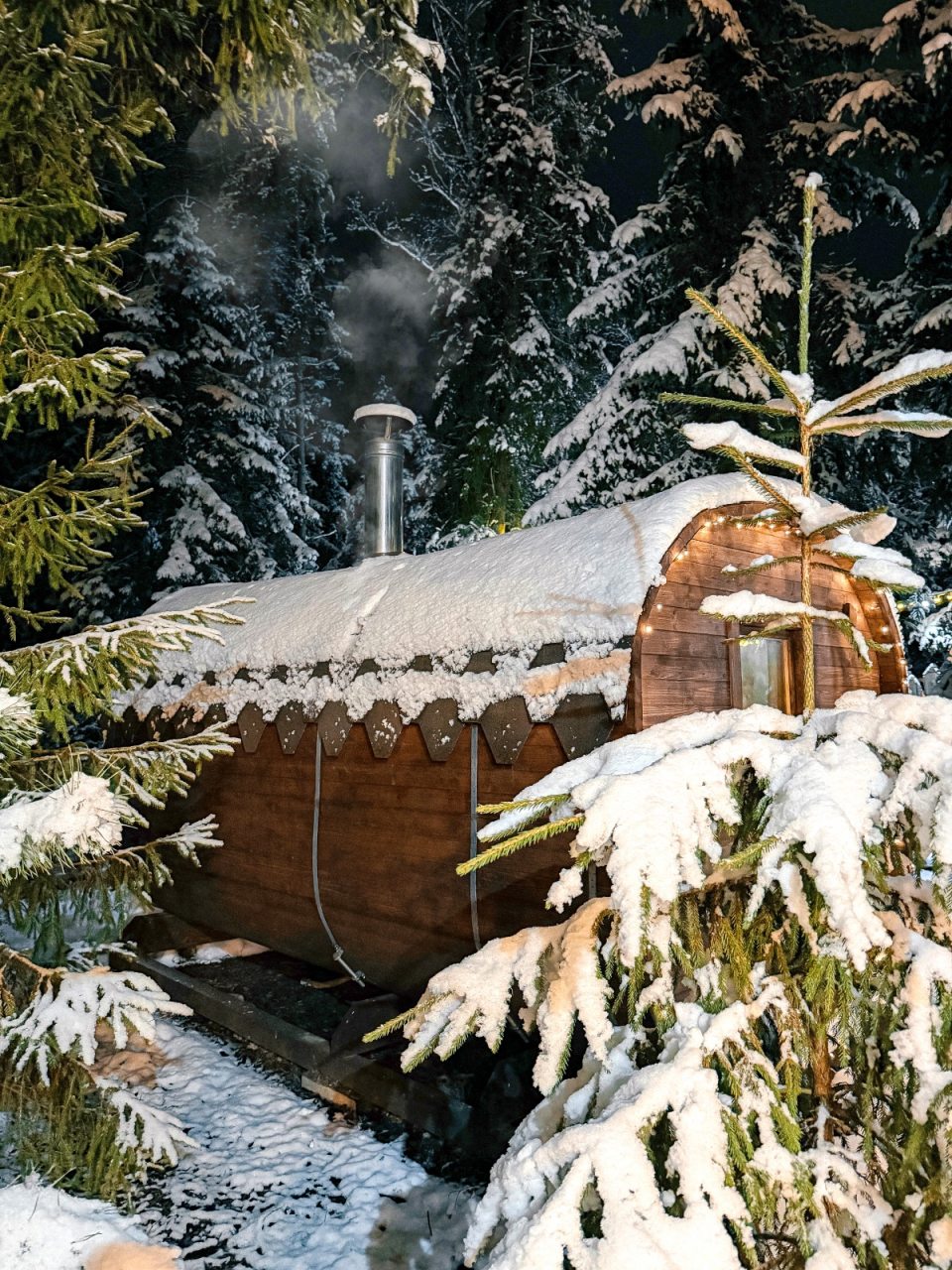 Коттедж (Уютный дом «Тристан»), Гостевой двор Лопановичъ Park