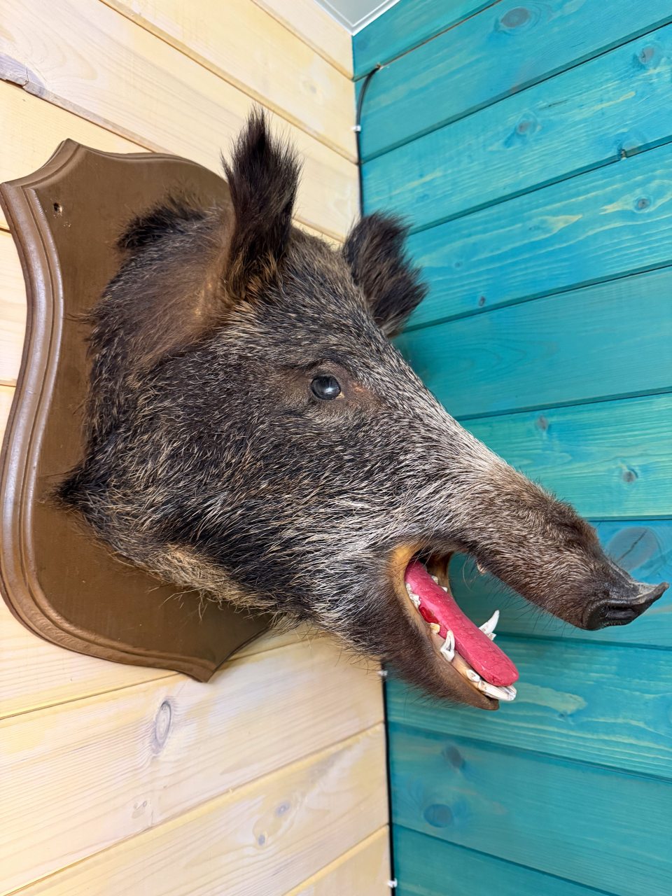 Коттедж (Уютный дом «Тристан»), Гостевой двор Лопановичъ Park