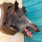 Коттедж (Уютный дом «Тристан»), Гостевой двор Лопановичъ Park