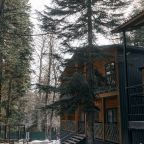 Полулюкс (Двухместный + раскладной диван), Гостиничный комплекс Экосфера