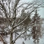 Вид на парк