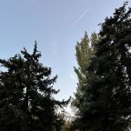 Своя ухоженная территория, Апартаменты Каланча