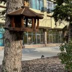 Тихое место, Апартаменты Каланча