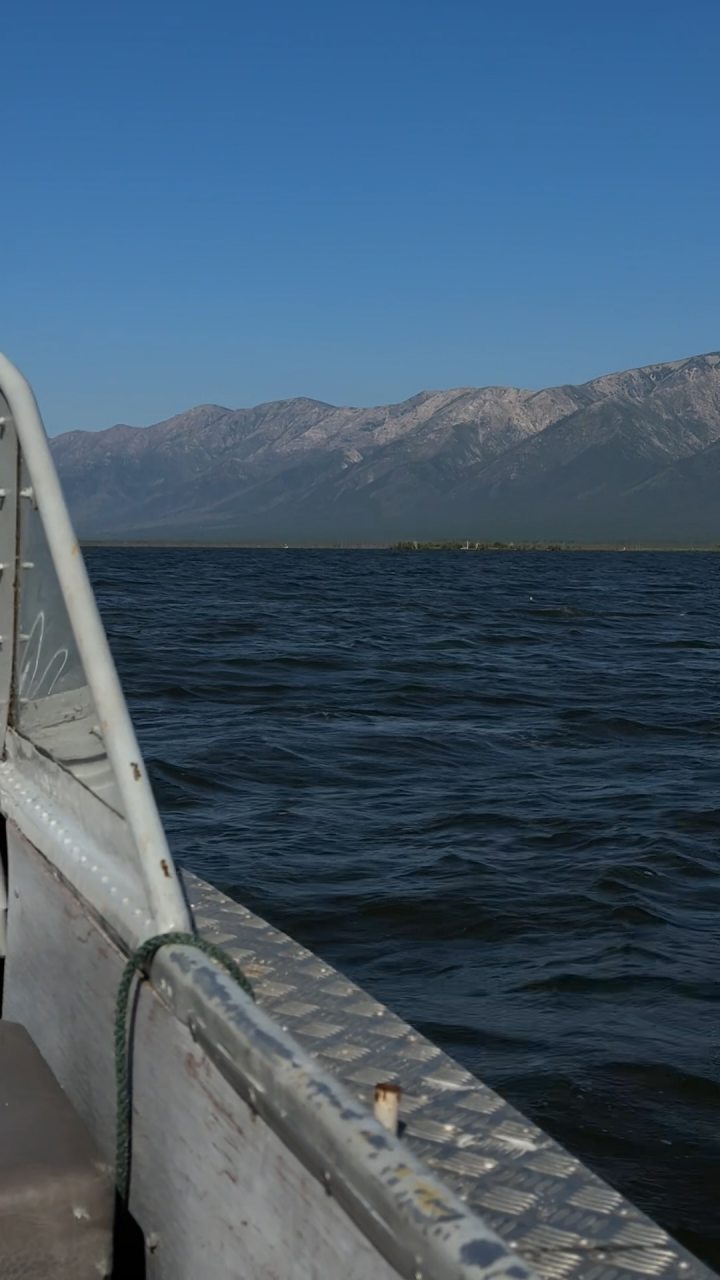 Дом (Кедр), Гостевой дом Устье