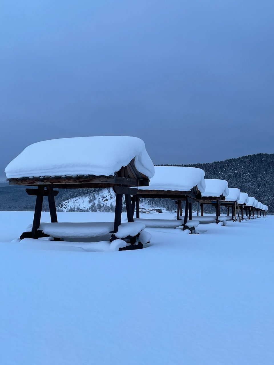 Дом (Кедр), Гостевой дом Устье
