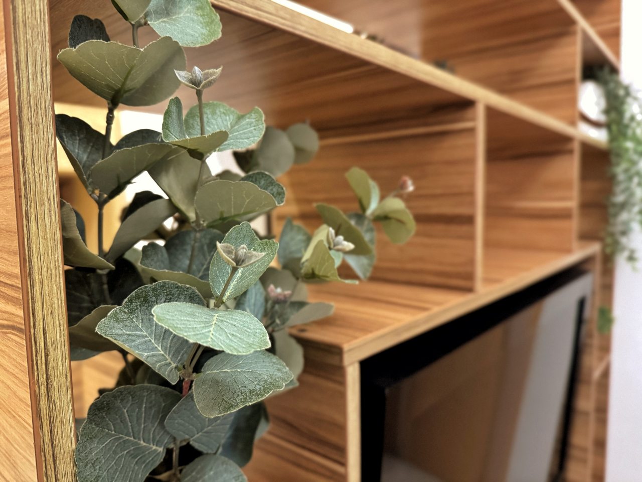 Апартаменты (Apart-Comfort Максимова 5), Апартаменты Apart-Comfort Максимова 5