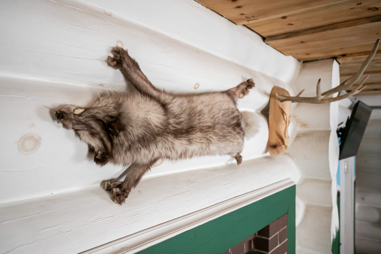 Коттедж (Дом 