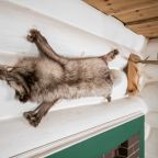 Коттедж (Дом 