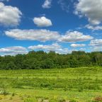 Трёхместный и более (Семейный), Загородный отель Вилайоки Агро