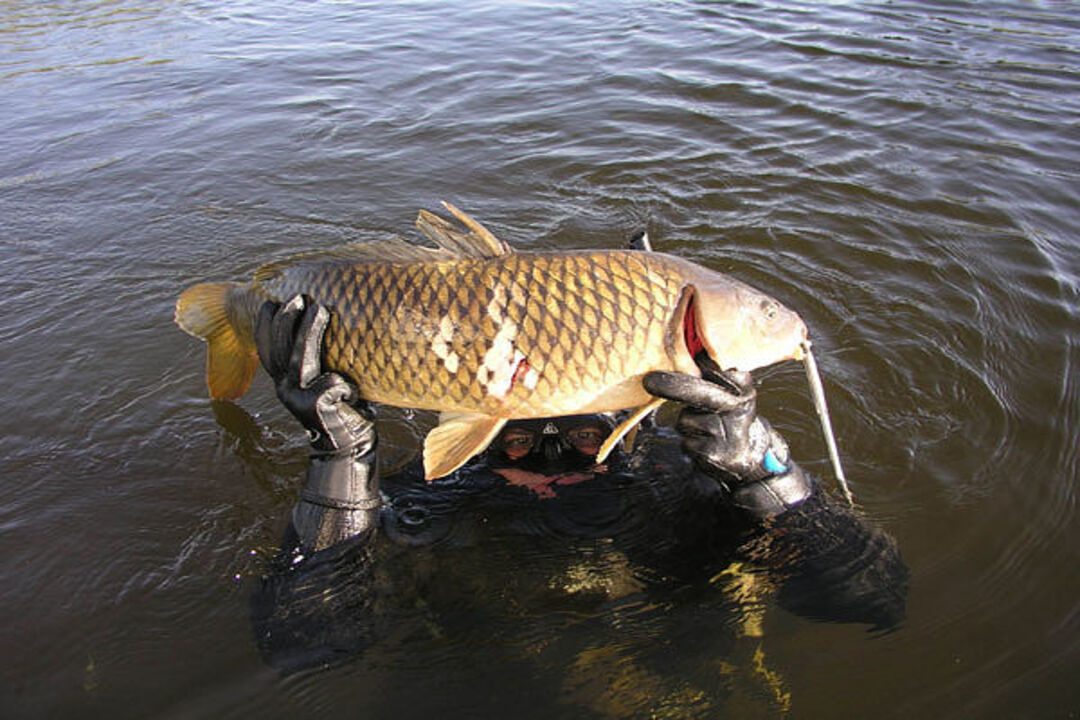 Рыбалка, База отдыха Старая Волга