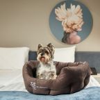 Допускается размещение домашних животных, Отель Helen