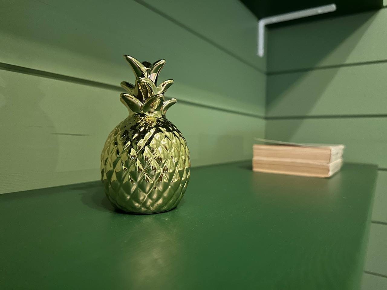 Дом (Тихий берег), Загородный дом Reo Rest