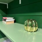 Дом (Тихий берег), Загородный дом Reo Rest