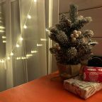 Дом (Reo Rest - дом "Берег на троих"), Загородный дом Reo Rest