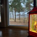 Коттедж (Дом "Лесное озеро"), Загородный дом Reo Rest