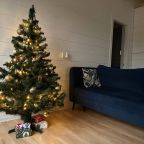 Коттедж (Дом "Утренний туман"), Загородный дом Reo Rest