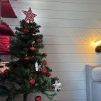 Дом (Reo Rest - дом Уютный берег), Загородный дом Reo Rest